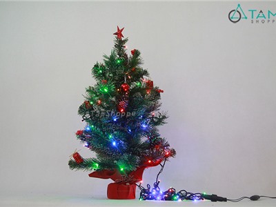 Combo: Cây thông Noel để bàn 60cm + Dây Led nhiều màu 10m